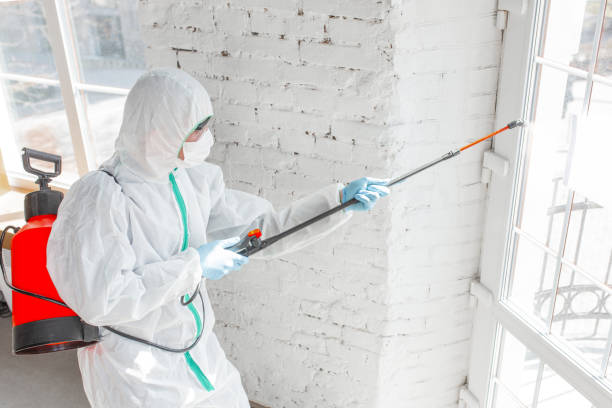 Best Comprehensive Air Testing for Mold Contaminants  in King City, OR